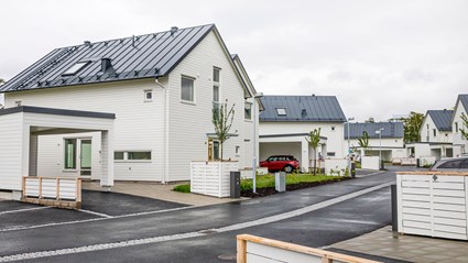 Parhus i Billdals Strandäng