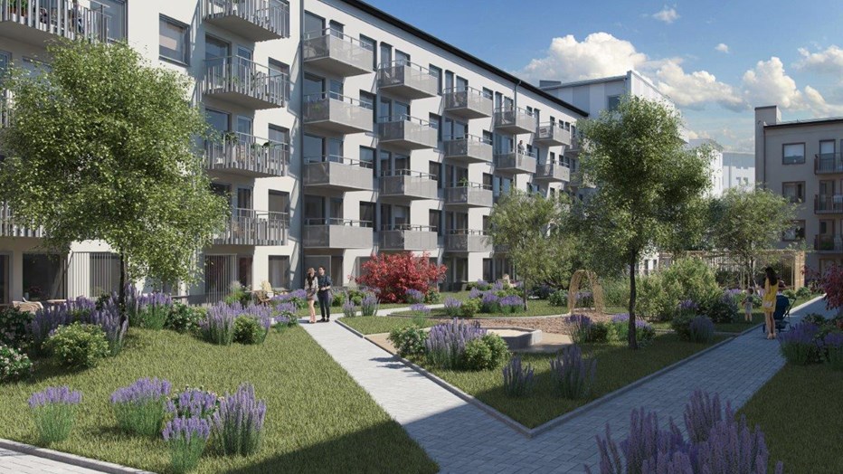 På kvarteret Scillas innergård planeras odlingar, gräsmattor och träd. Innergård med gräs, odlingar, träd och gångvägar. I bakgrunden syns en vit och grå fasad med balkonger. Fem våningar högt.