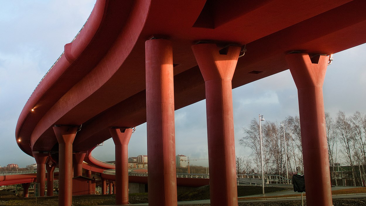 Partihallsförbindelsen Göteborg
