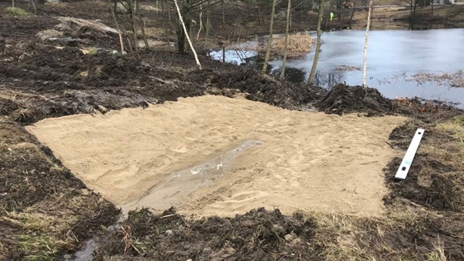 Speciella sandgropar har anlagts för att strandpaddan ska vilja återvända till området. 