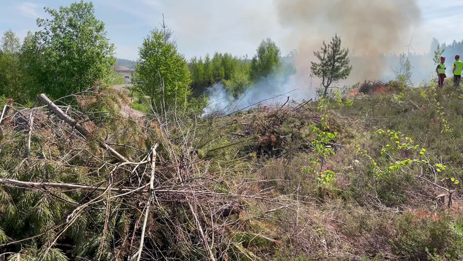 I täkten finns en långsiktig plan för att gynna den biologiska mångfalden i området. Under våren genomförde Skanska en så kallad naturvårdsbränning.