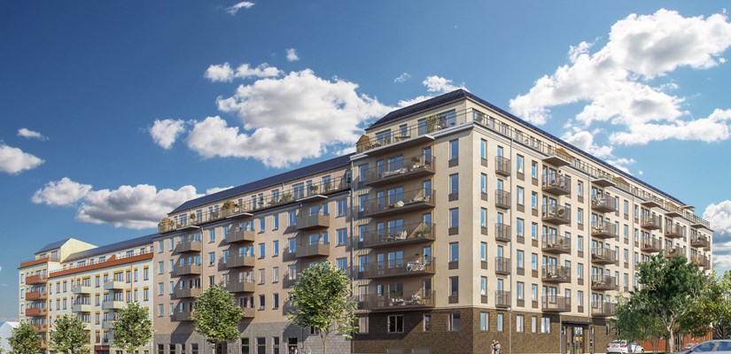 kaprifolen kaprifolen