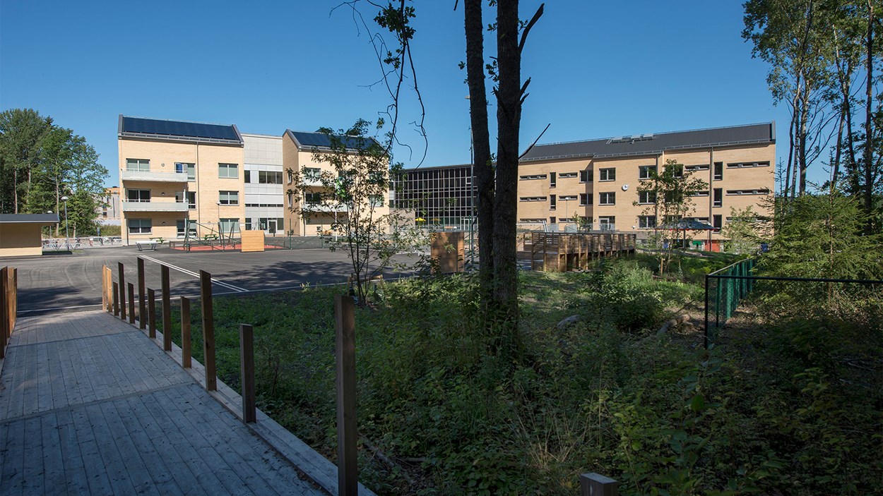 Vallastadens skola i Linköping har en skolgård byggd för kreativitet och aktivitet samt en skogsdunge i anslutning.. Fotograf Lennart Lundwall.