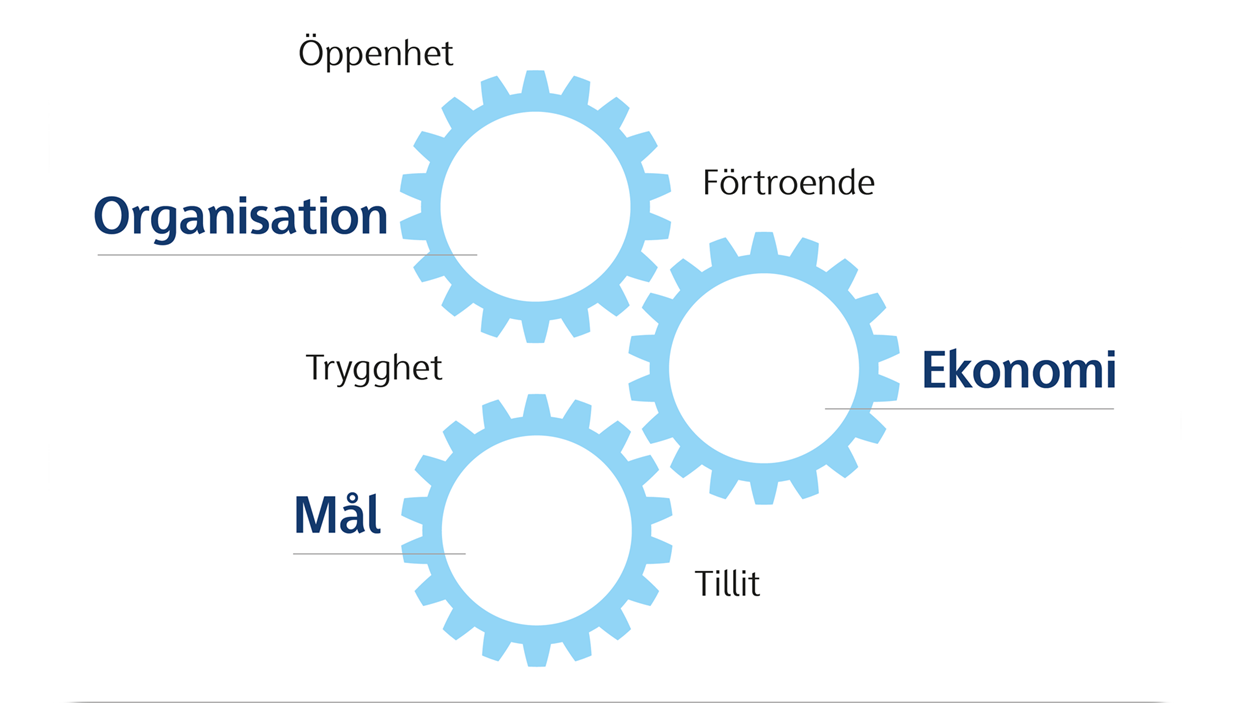 Illustration över organisation, ekonomi och mål i ett samverkansprojekt