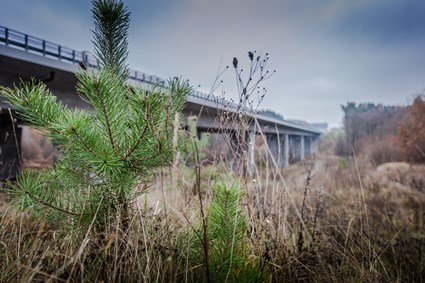 A1 Motorway, Poland