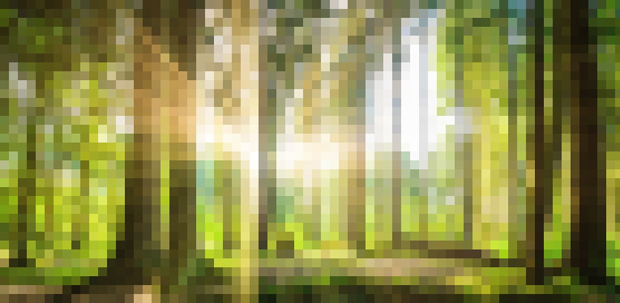 Grön skog i pixelformat