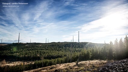 Mullberg Wind Farm