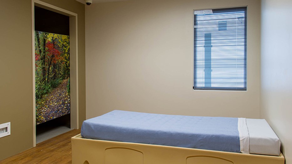 Sacred Heart Medical Center at University District Behavioral Health Relocation Sacred Heart Medical Center at University District Behavioral Health Relocation