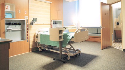 Integrated Cardiovascular and Imaging Platform Project