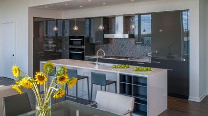 Howard Hughes Medical Institute (HHMI), Janelia Farm Research Campus Apartment B