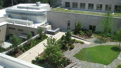 Harvard Law School