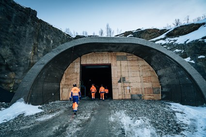 Tunnel portal