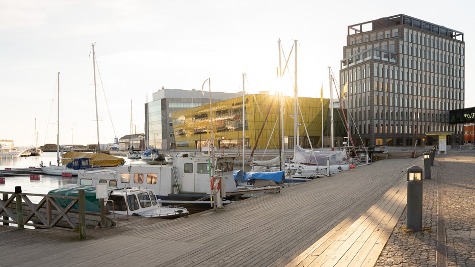 Här sitter studenterna nära både stad och natur. Här sitter studenterna nära både stad och natur.