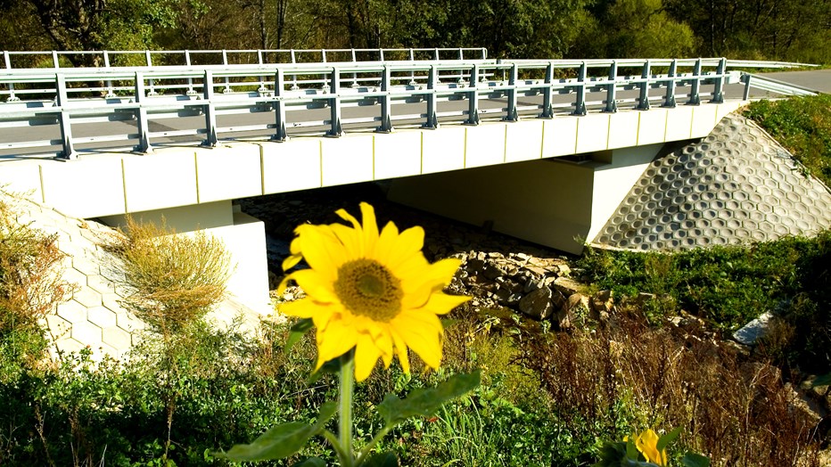 Bridge in route of voivodeship road No. 992 Bridge in route of voivodeship road No. 992
