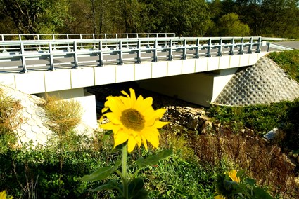 Bridge in route of voivodeship road No. 992