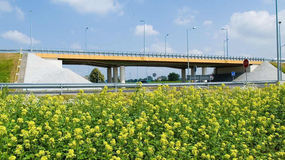 Viaduct in route of Pilzno bypass Viaduct in route of Pilzno bypass