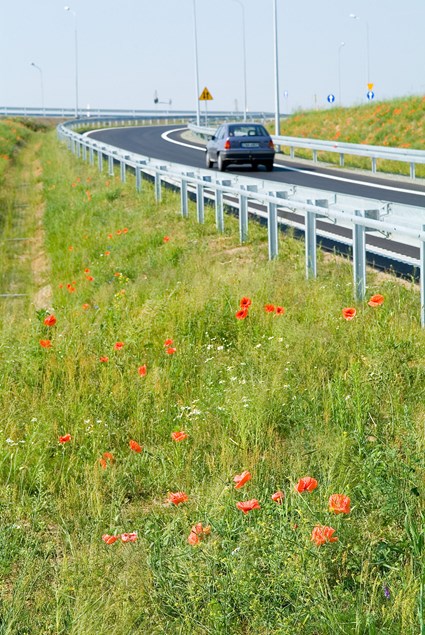 Szubin beltway