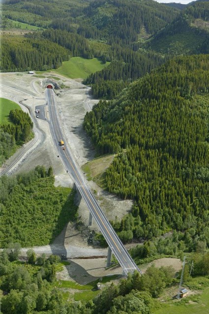Road at Viggja
