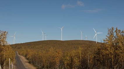 Sjisjka Wind
