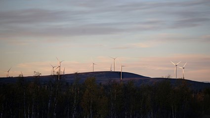 Sjisjka Wind