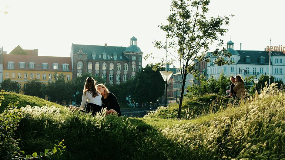 Två personer sitter i högt gräs i Köpenhamn.