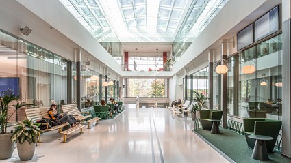 Här möts Stockholms universitet, KTH och KI – en satsning som verkligen sätter Stockholm på kartan som studentstad. Foto Anders Bobert