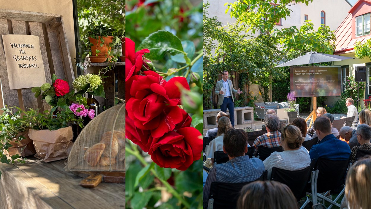 Collage av tre bilder med fika, rosor och en trädgård full med beökare till ett seminarium.