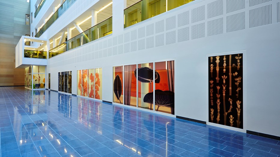 The indoor environment is bright and modern. The indoor environment is bright and modern.