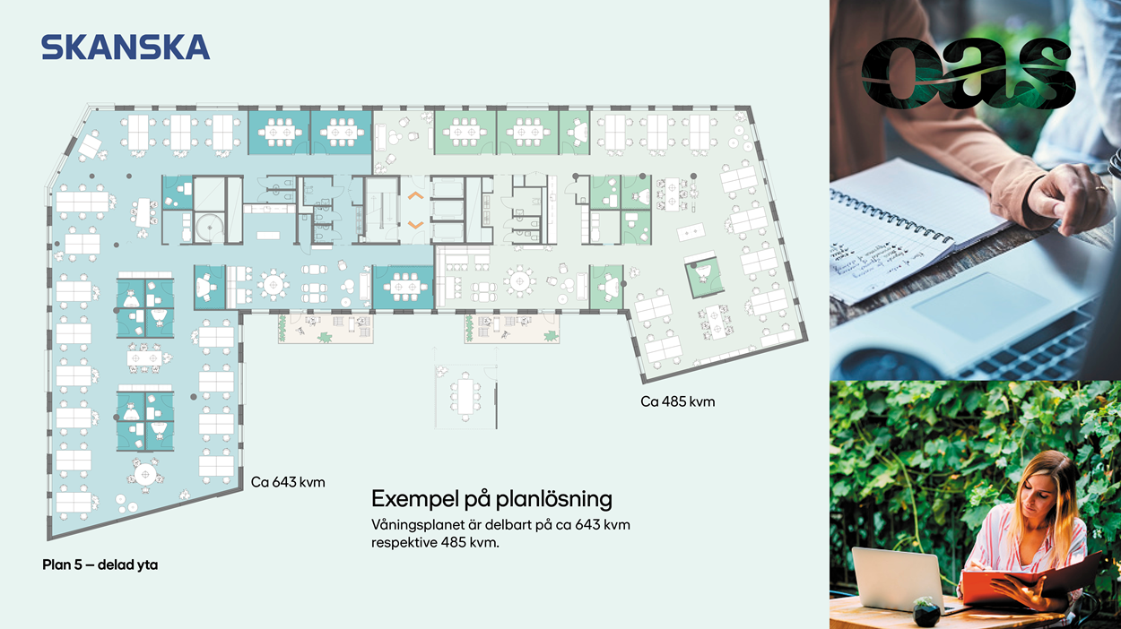 Oas-planöversikt-plan-5-delad-yta