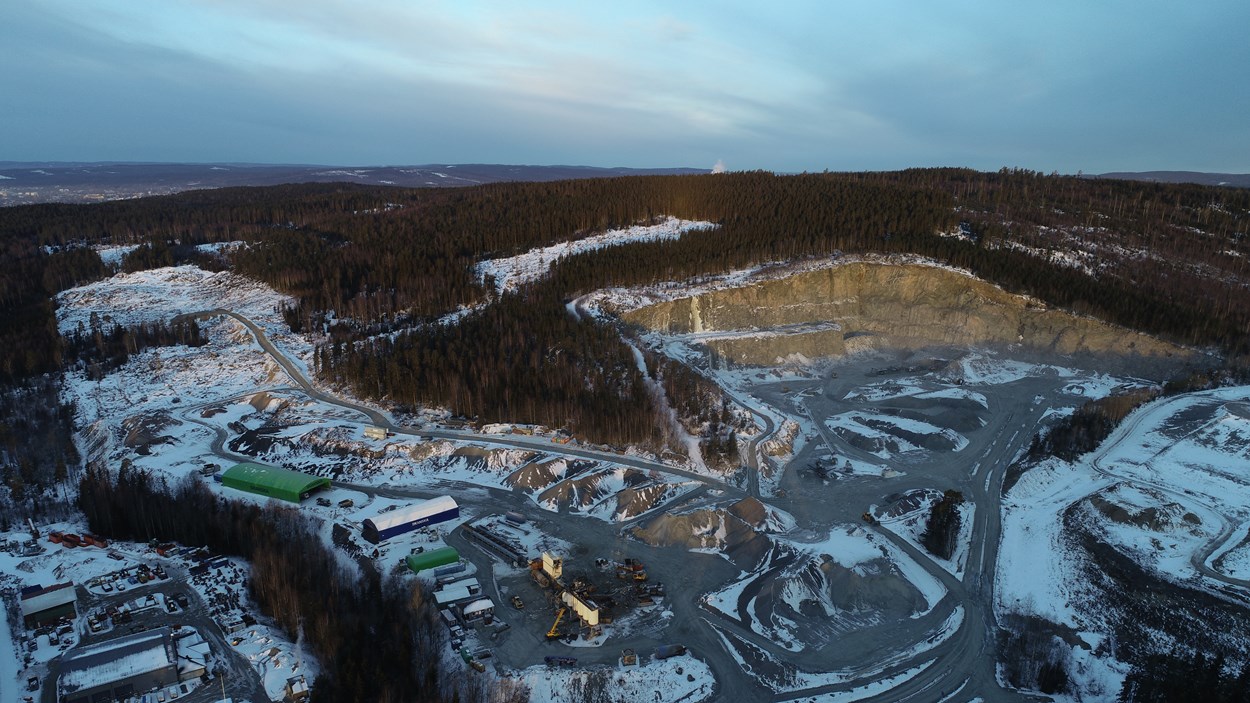 Fågelmyra