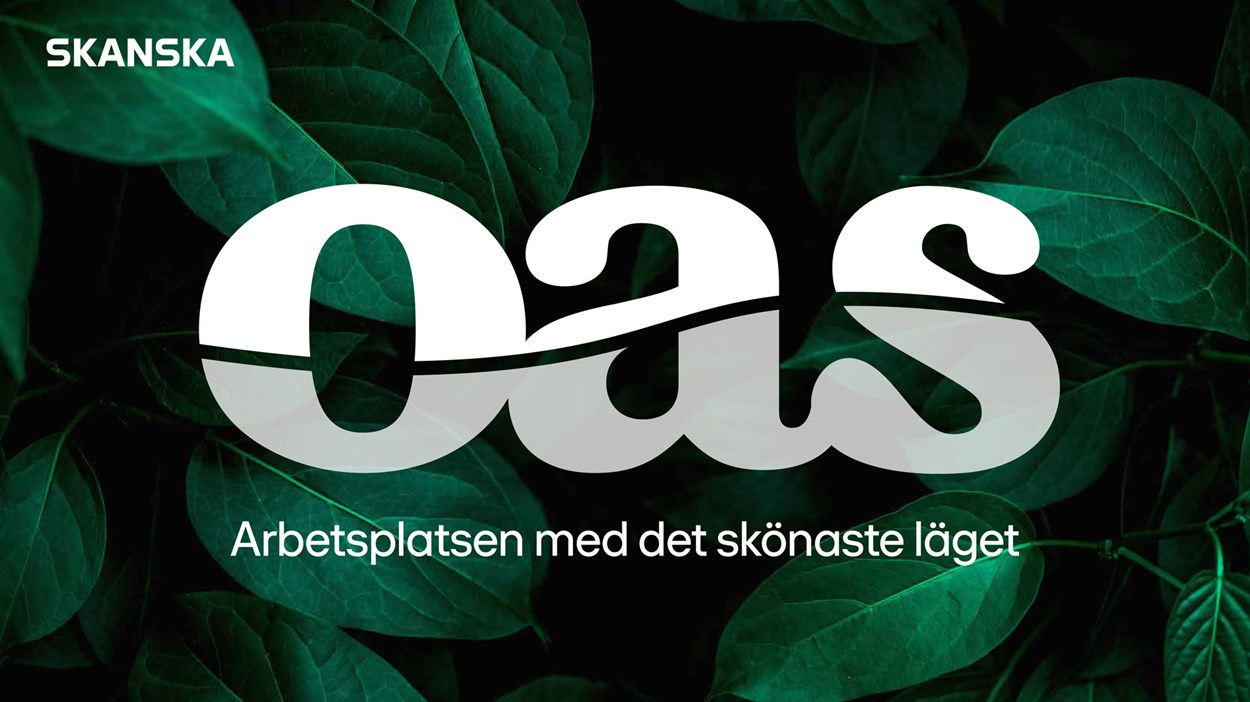 Oas-presentation-thumb