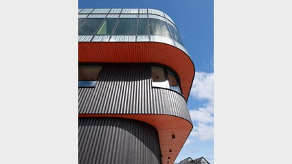 De röda utskjutande undersidorna påminner om den svarttjärade Blekingeekan med röda inslag på botten och durk. Foto: Anders Bobert