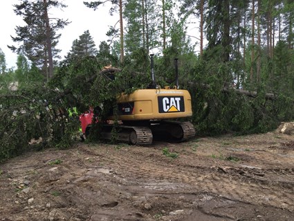 Vi var tvungna att ta ner träd på grund av säkerhetsskäl.