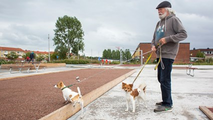 Invigning av den lekplats som boende runt byggtomten i Tolered har röstat fram i väntan på byggstart.