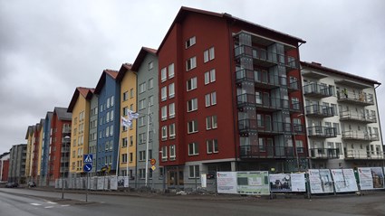 Bostadshusen Afton- och Skogsfalken är likdana.
