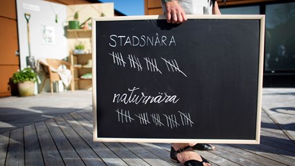 De boende i Solgränd fick rösta om gårdens utformning och det naturnära alternativet vann. 