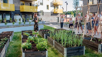 En trädgårdsarkitekt har byggt upp odlingar i Solgränd som kommer att skötas gemensamt av de boende.