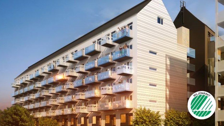 Studio 256 Studio 256