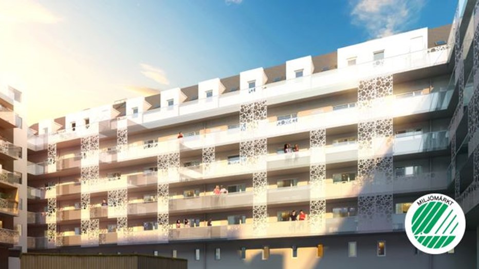 Studio 256 Studio 256