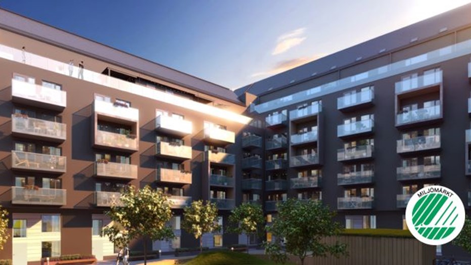 Studio 256 Studio 256