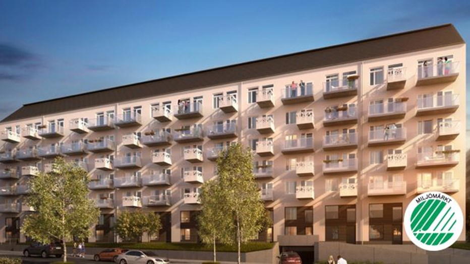 Studio 256 Studio 256