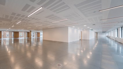 One of the office floor levels with a raised floor, circular visual concrete columns and a chilled plasterboard ceiling.