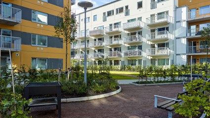 Välvda gångstråk och gröna inslag på gården.