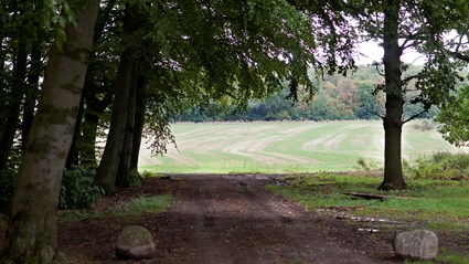 Väla Gård ligger intill ett naturreservat.
