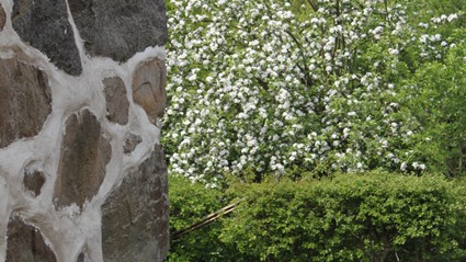 Väla Gård är ursprungligen en vacker gråstensbyggnad från 1800-talet.