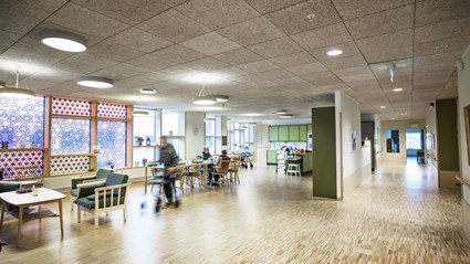 Trädgårdarnas arkitektur uppmuntrar till liv och rörelse.