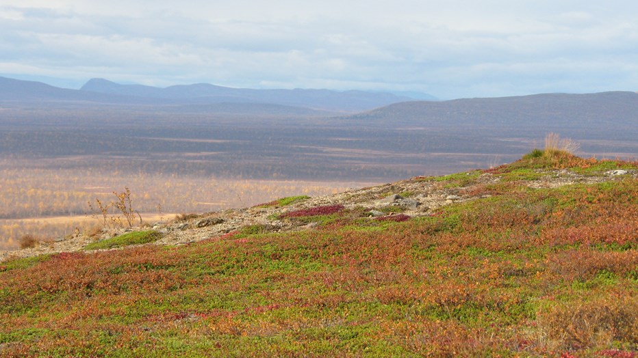 Sjisjka Vind Sjisjka Vind