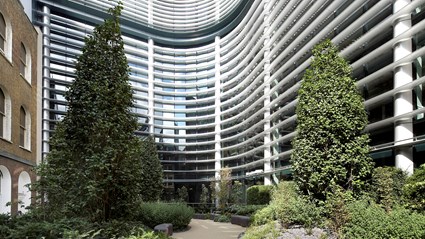 The Walbrook garden