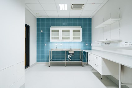 PNA, Patient nära analys