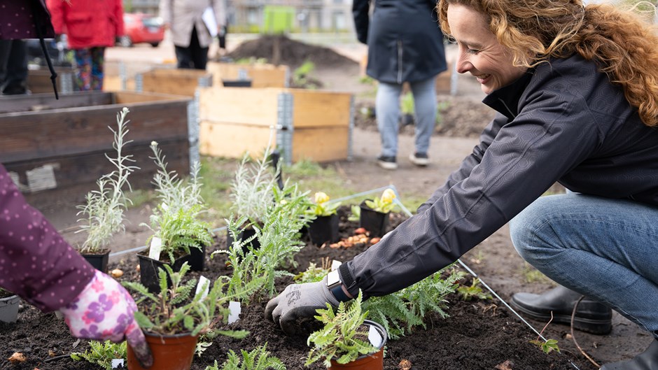 En odlarförening har skapats för att tillsammans plantera i odlingslådorna på aktivitetsplatsen.